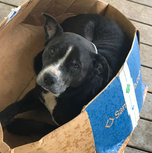 Meet your Posher, Kenya